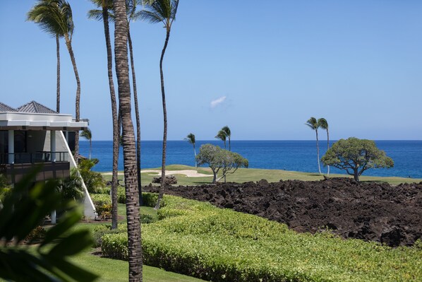 A resort with a view of the ocean, palm trees, and a golf course.