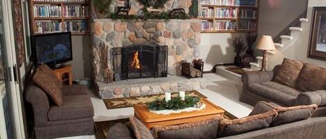 TV, fireplace, video games, DVD player