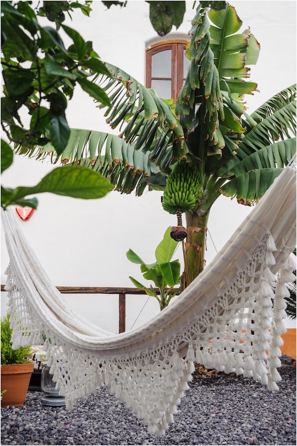 Terrace/patio - B&B Buenavista del Norte (Buenavista del Norte)