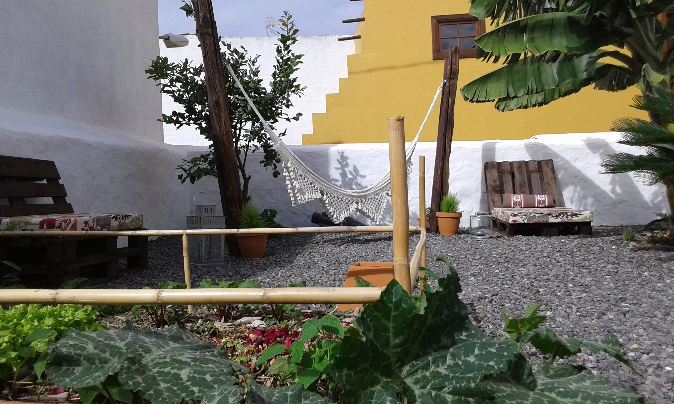 Une cour avec un hamac, un banc et une petite table.