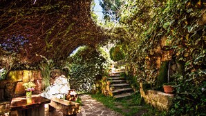 A stone pathway leading up a stone staircase surrounded by lush greenery and ivy.