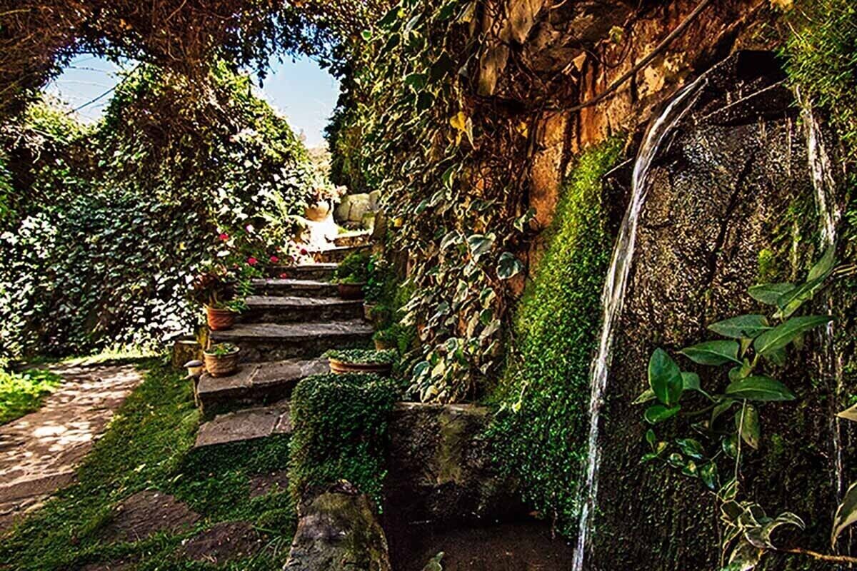 Jardines del alojamiento