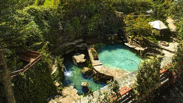 A circular pool surrounded by stone steps and lush greenery.