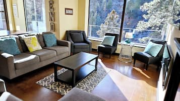 TV, fireplace, DVD player, foosball