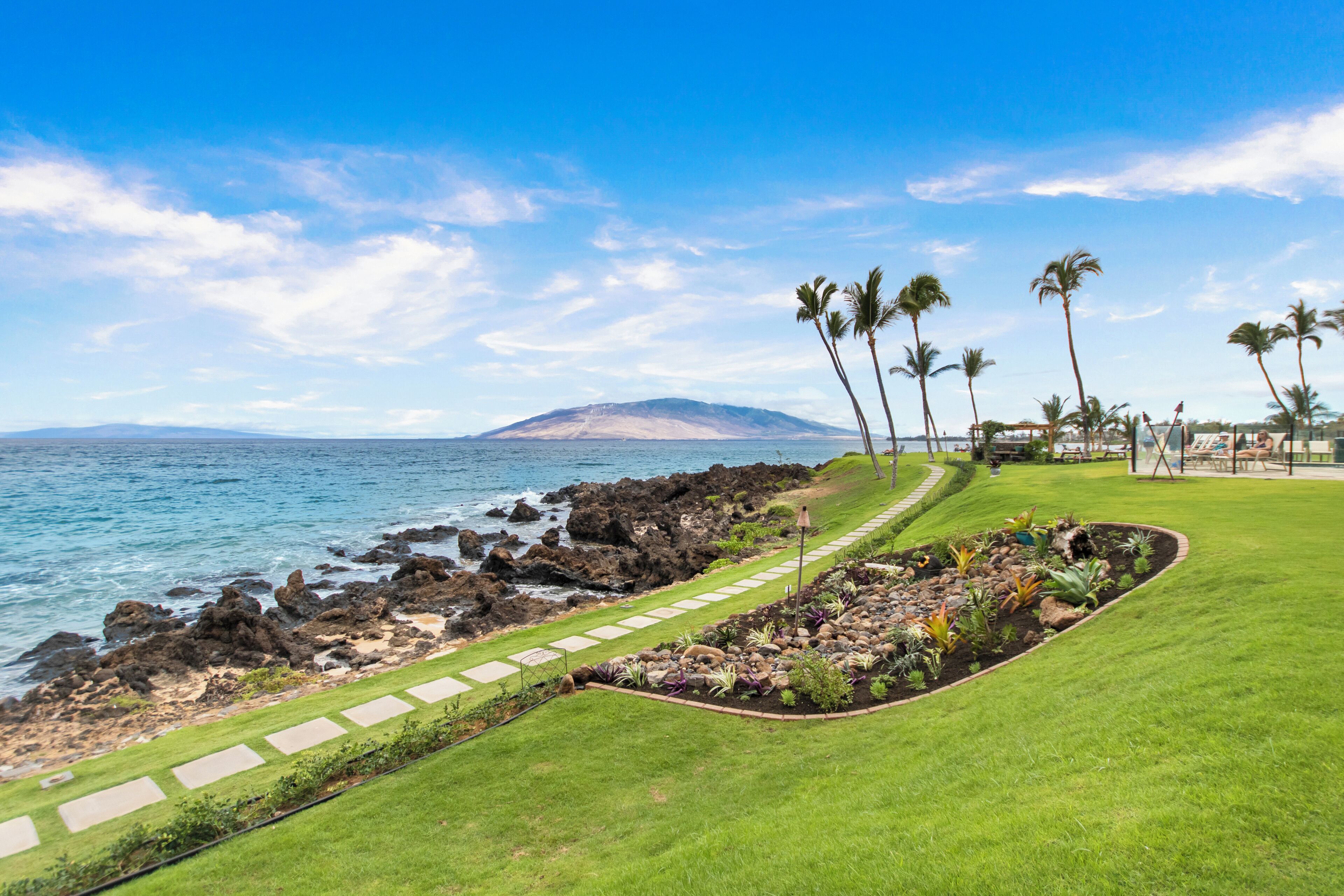 A coastal landscape with a grassy area, palm trees, and a rocky shoreline.