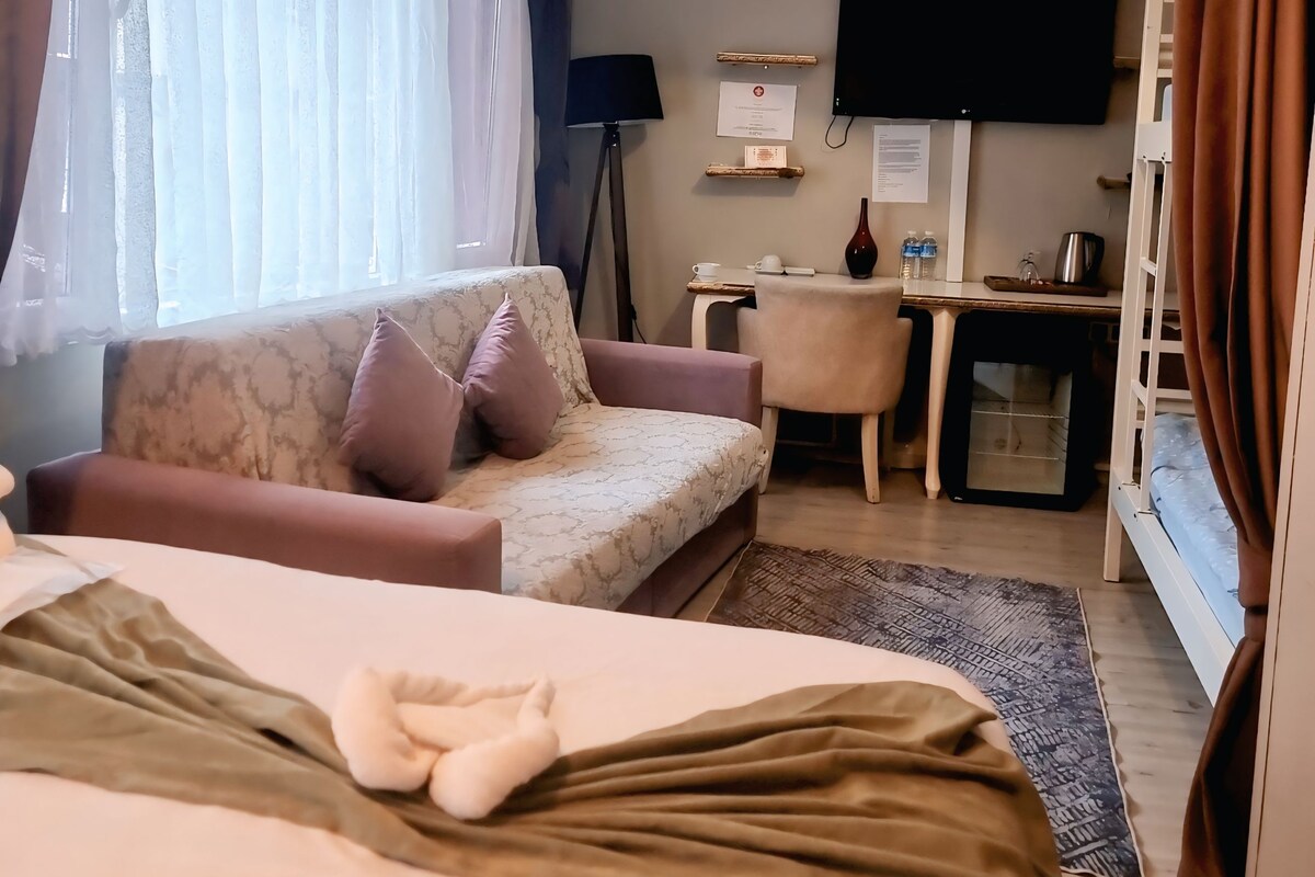 A hotel room with a bed, a sofa, a desk, a television, and an air conditioning unit.