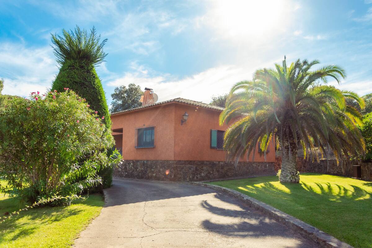 A house with a paved driveway, a stone wall, and a palm tree in the yard.