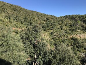 A mountainous landscape with dense vegetation and a clear sky.