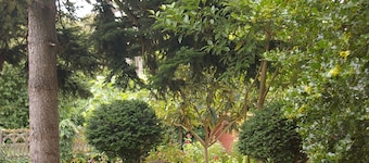 L'Oustalet D'Anicette