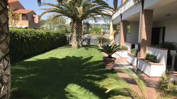 Jardin