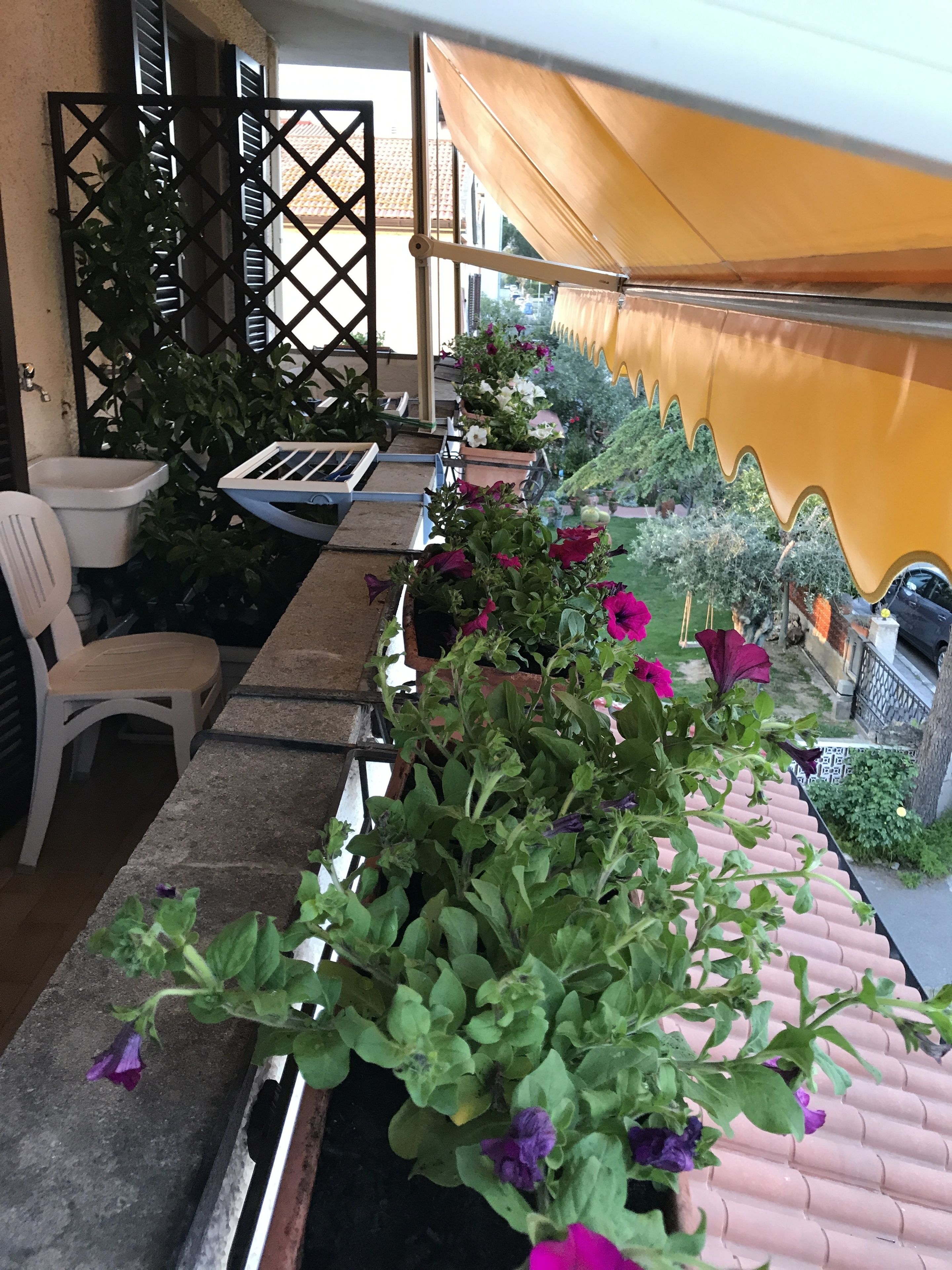 A covered outdoor seating area with a long table, chairs, and potted plants.