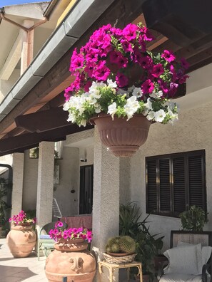 Exterior detail - Rispescia (Grosseto)