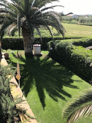 Jardín