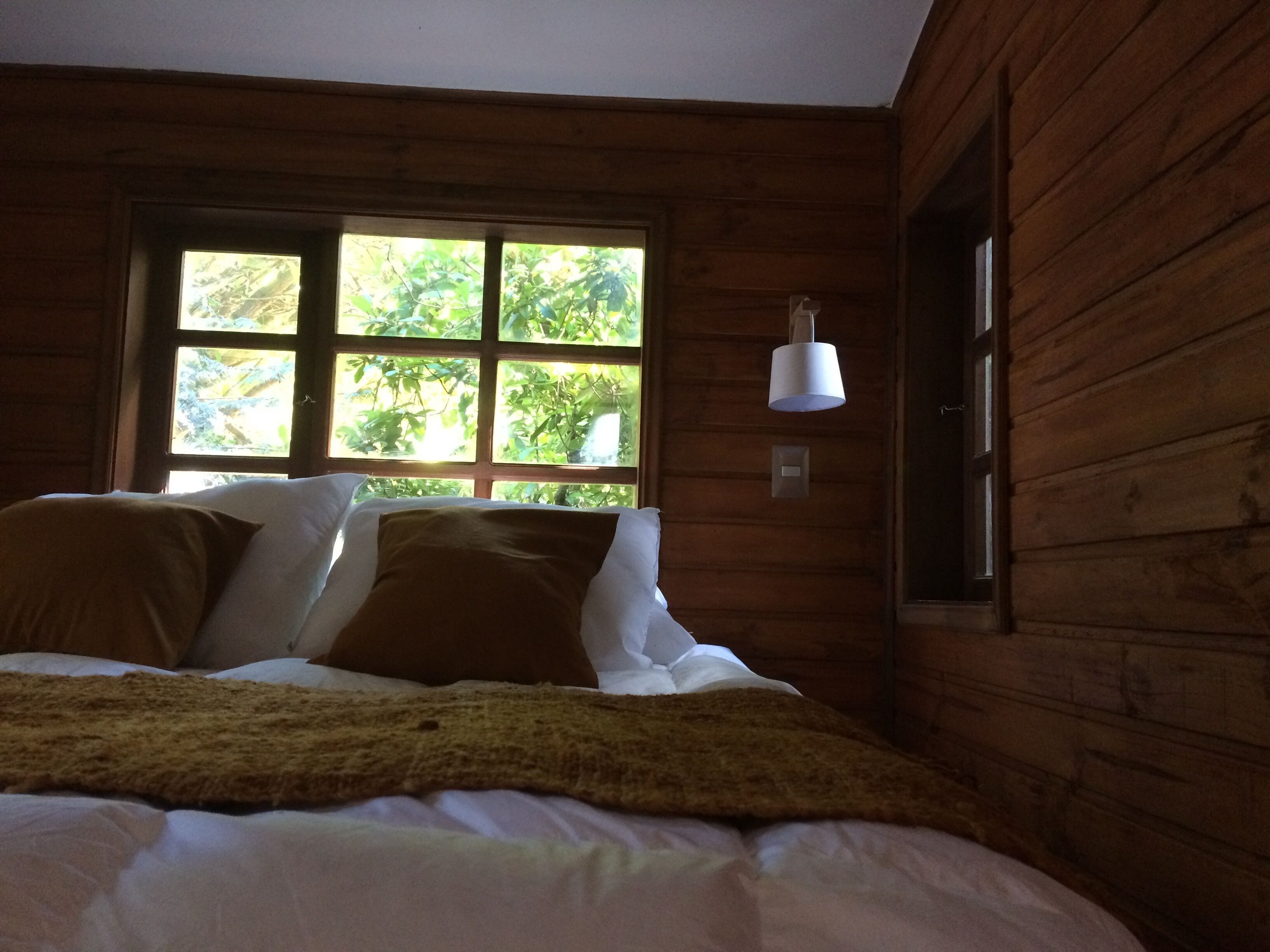 A wooden cabin room with a bed, a window with a view of greenery, and a hanging light fixture.