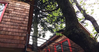 Cabanas Alma Bosque