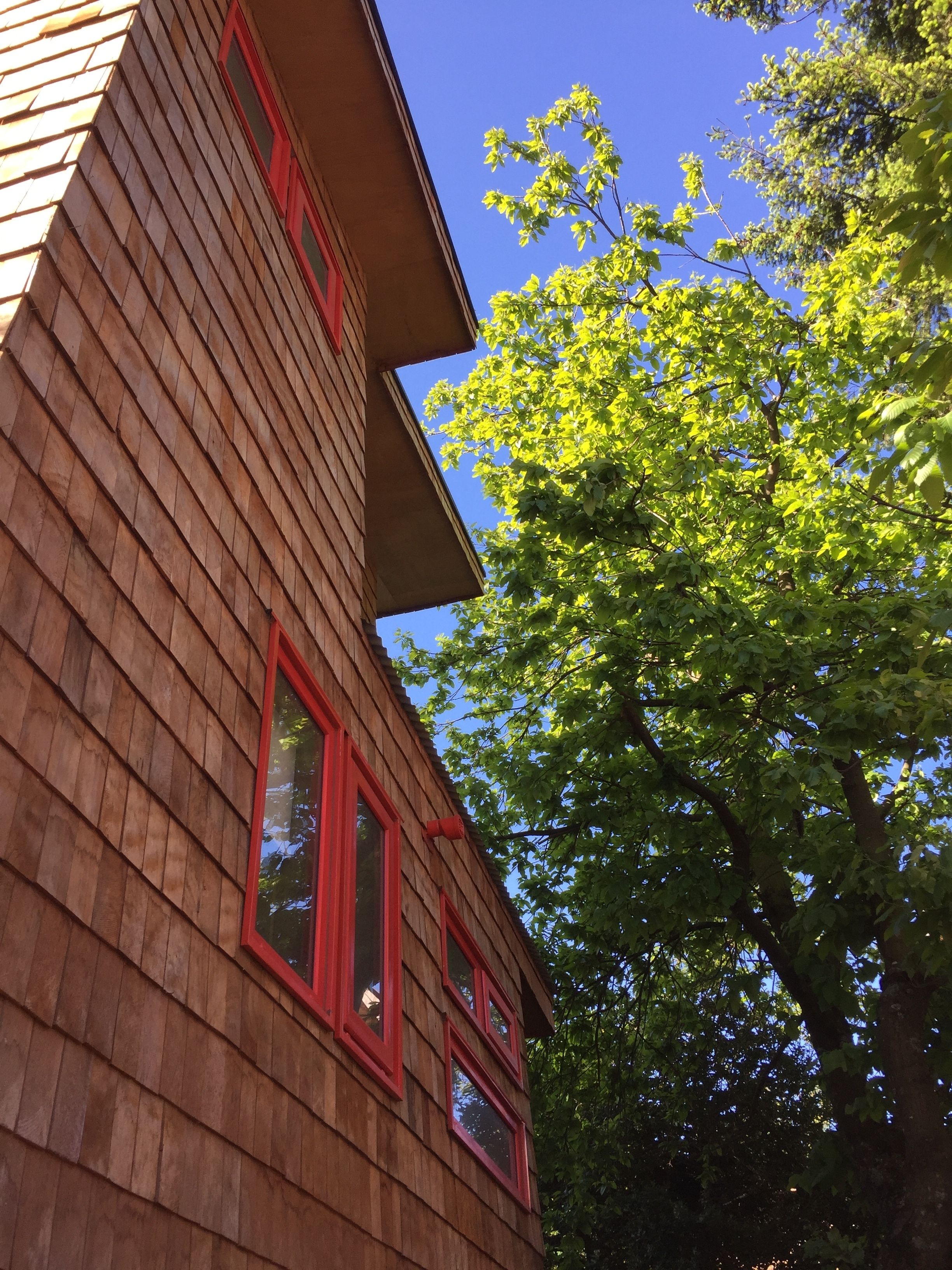 A wooden building with red-framed windows and a tree with green leaves in the background.