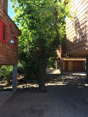 Property grounds - Cabanas Alma Bosque (Puerto Varas)