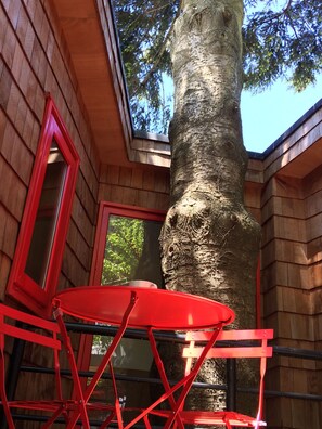 Standard Cabin, 1 Bedroom, Terrace | Terrace/patio - Cabanas Alma Bosque (Puerto Varas)