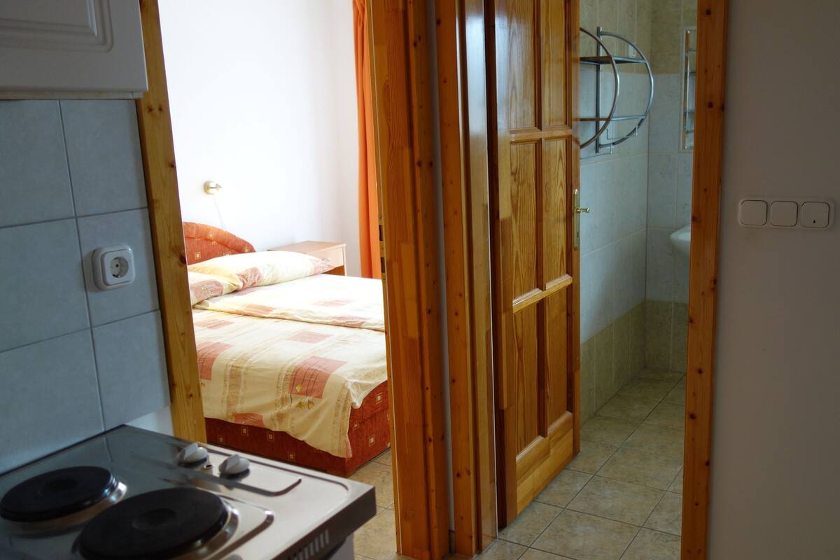 A bedroom with a bed, a wooden door, a bathroom with a shower, and a kitchen area with a stove.