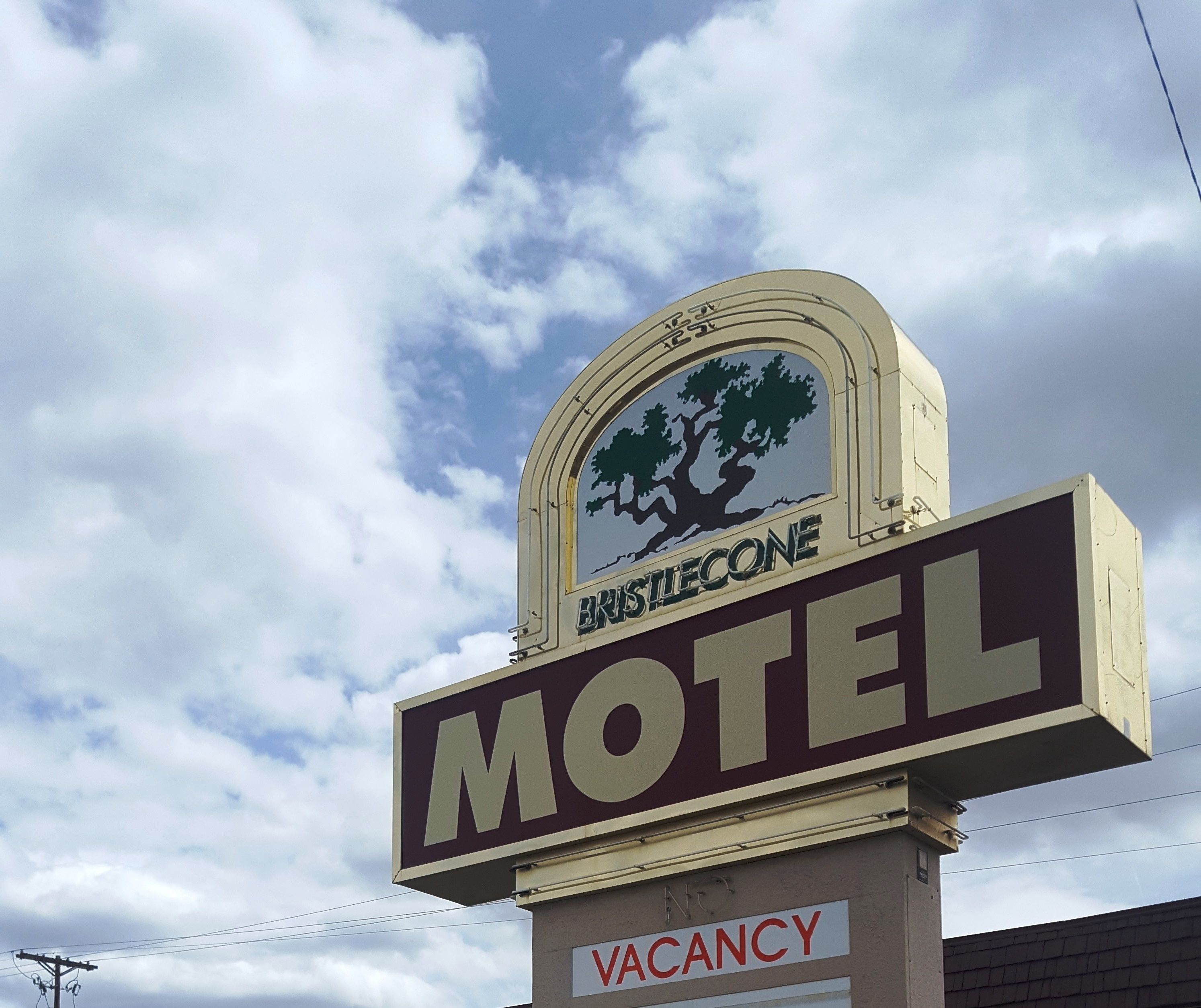 Een motelteken met een boomlogo en het woord 'VACANCY' eronder.