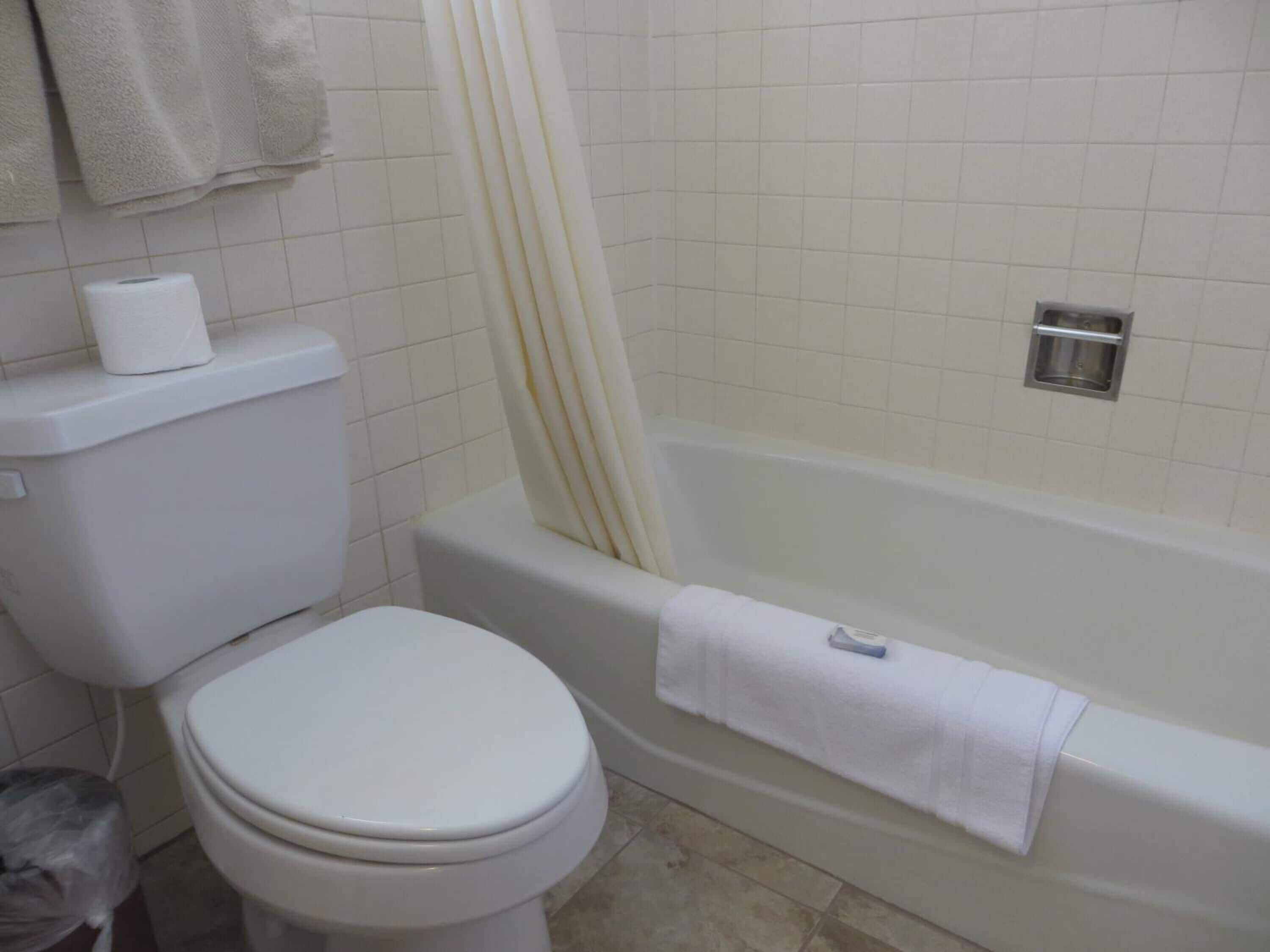 A bathroom with a toilet, a bathtub, and a shower curtain.