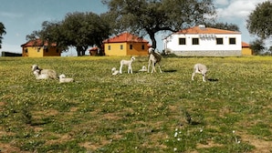 A rural landscape with a white building with a red roof, surrounded by trees and a field with sheep. - Albergue Turistico Cornalvo - Hostel (Trujillanos)