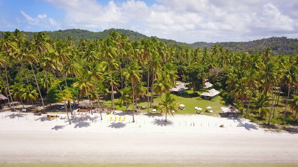 A beach resort with multiple bungalow-style accommodations, a sandy beach, and a backdrop of palm trees and hills. - Pousada Sitio da Prainha (Tamandaré)