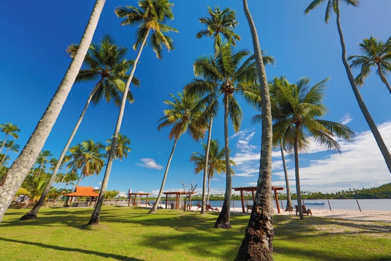 Ein Strand mit Palmen, einer Laube und Blick aufs Wasser.