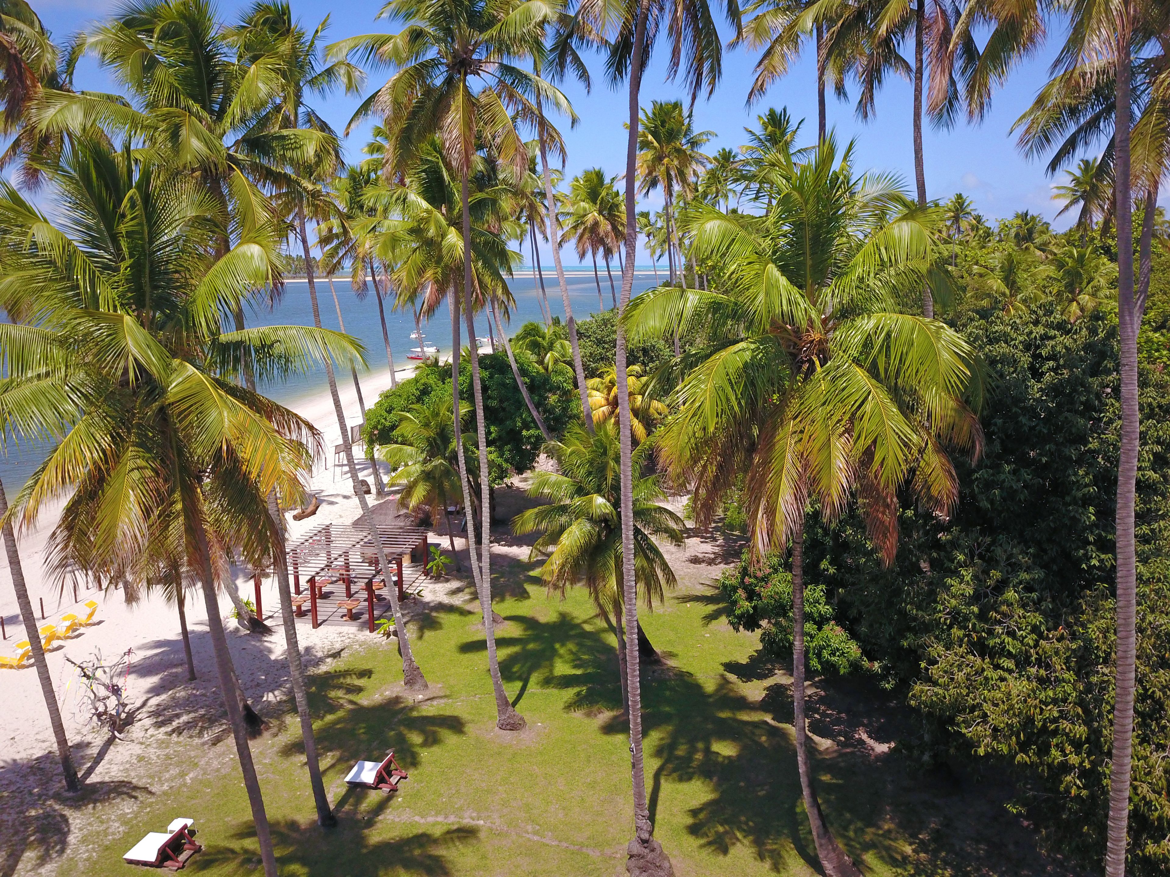 A beach with palm trees, a sandy area with a wooden structure, and a view of the ocean.