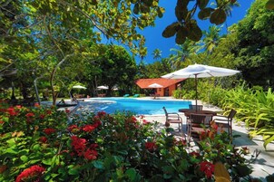 Outdoor pool, sun loungers