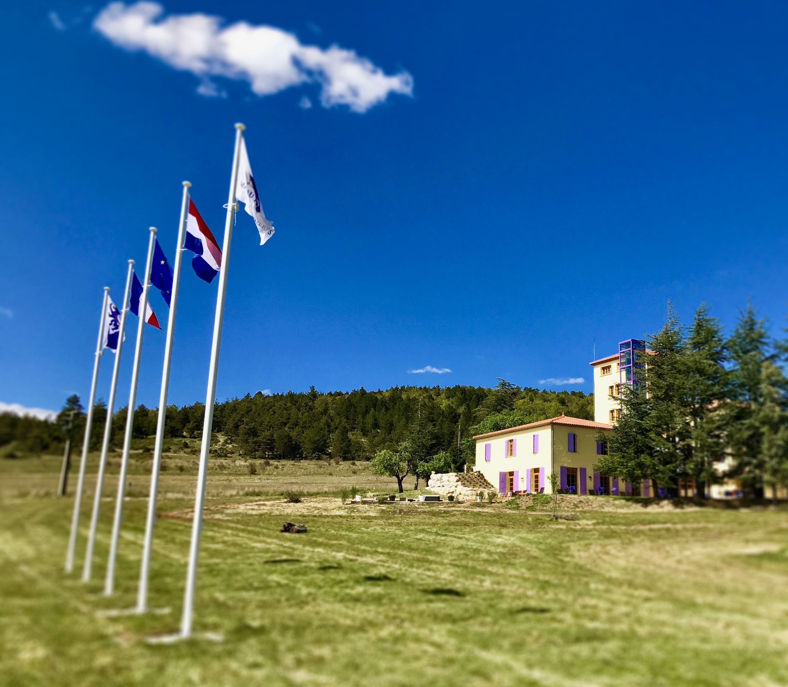 A building with a red roof and purple shutters, surrounded by a grassy field and trees.
