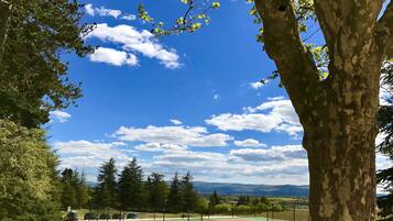 A tennis court surrounded by trees and a clear sky.