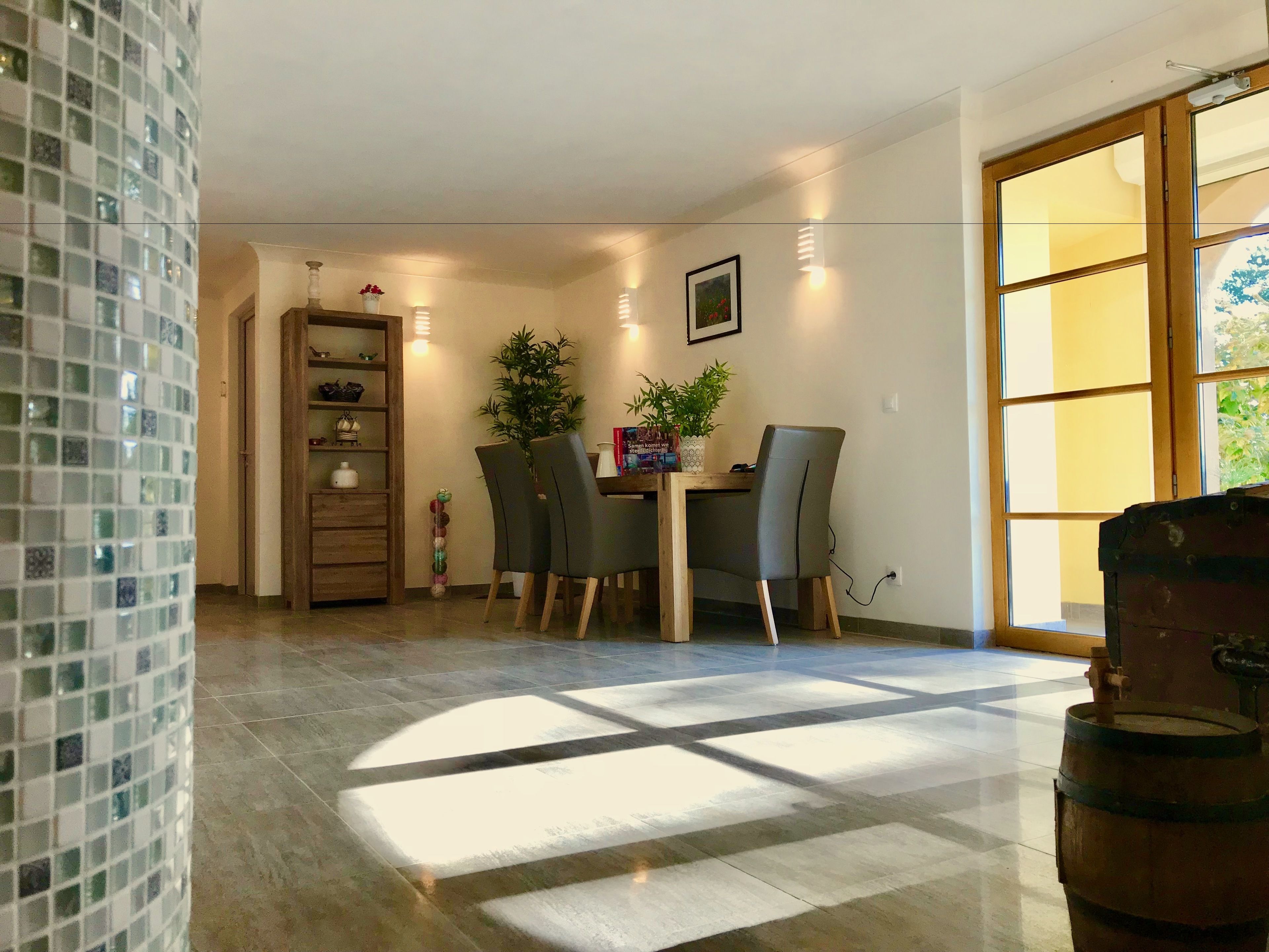 A dining area with a wooden table and chairs, a potted plant, and a tiled floor with a geometric pattern.