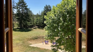 A view from a window with a balcony, overlooking a grassy area with trees and a clear blue sky. - Résidence Château Ferrassières (Ferrassières)
