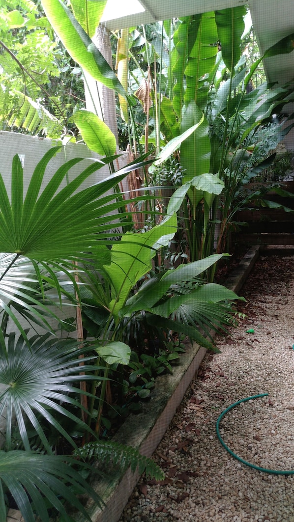 Property grounds - Villa Loraine (Mérida)