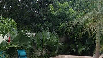 Sebuah infinity pool