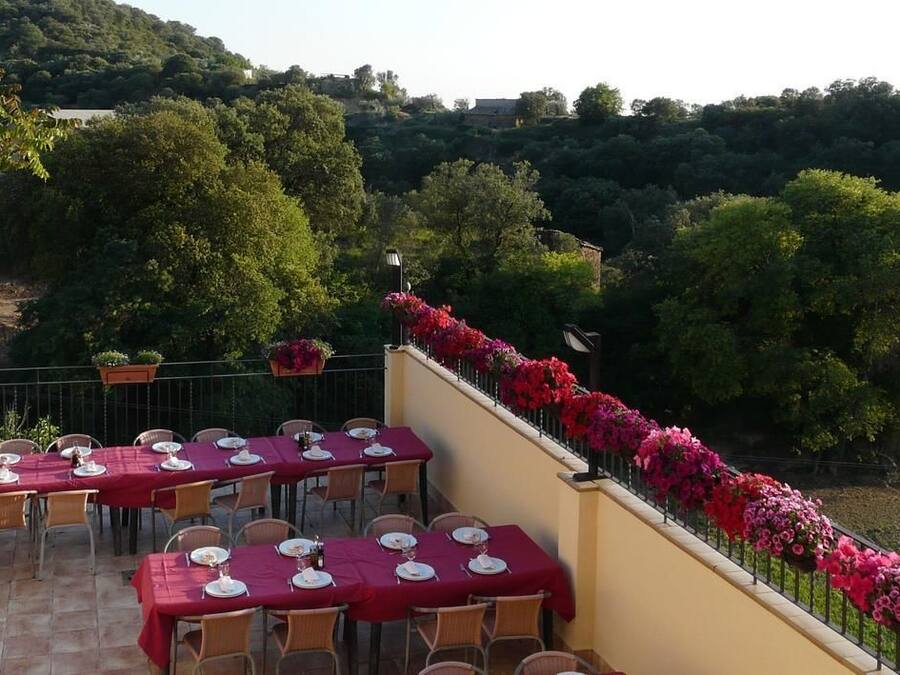 Un área de comedor al aire libre con mesas dispuestas para los invitados, rodeada de abundante vegetación y vistas panorámicas a una colina.
