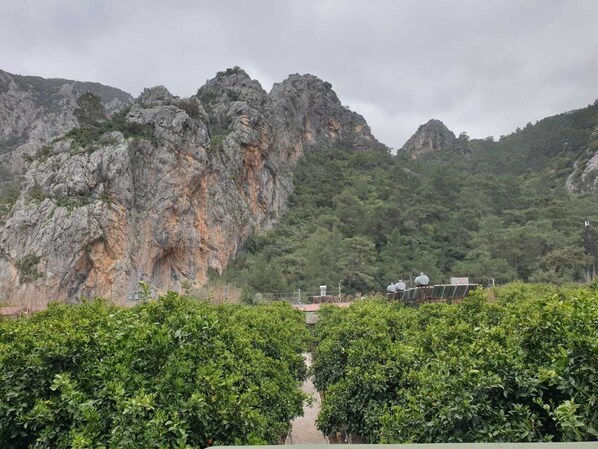Triple Room | Balcony