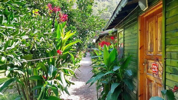 A narrow pathway flanked by lush greenery and a wooden building with a visible door marked '23'. - Olympos Tatilya Pansiyon (Kumluca)