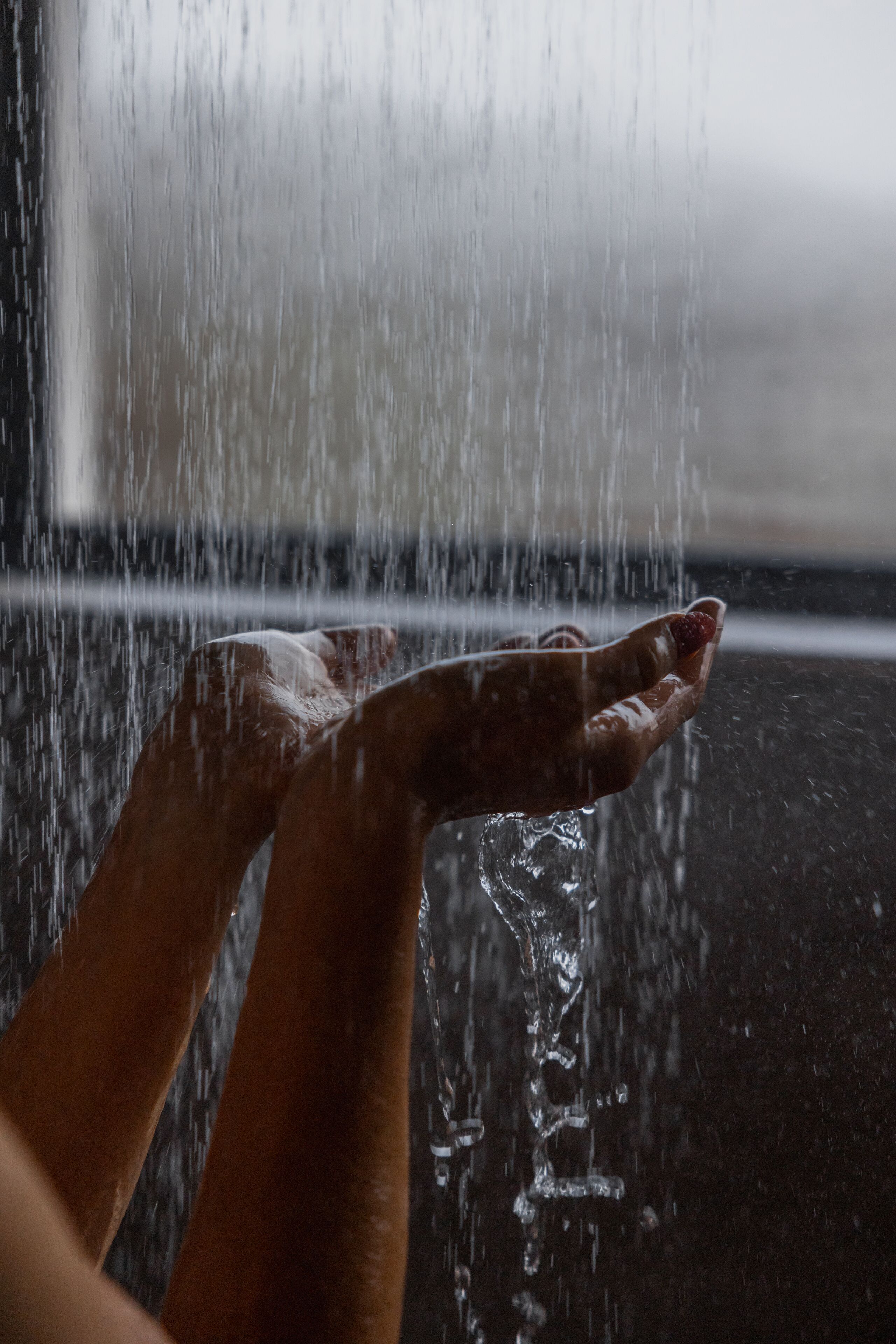 Photo - The Log Collective