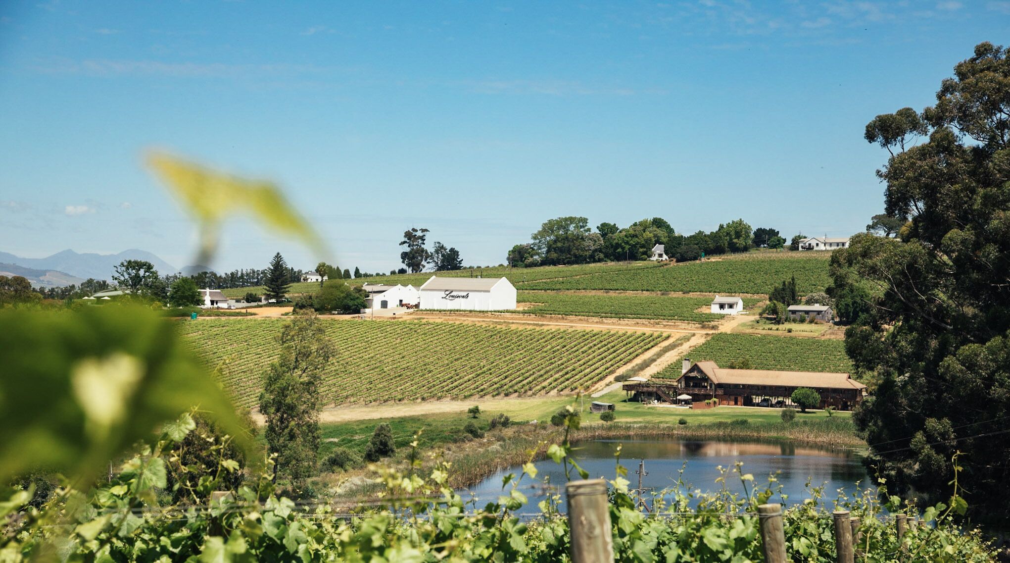 Photo - The Log Collective