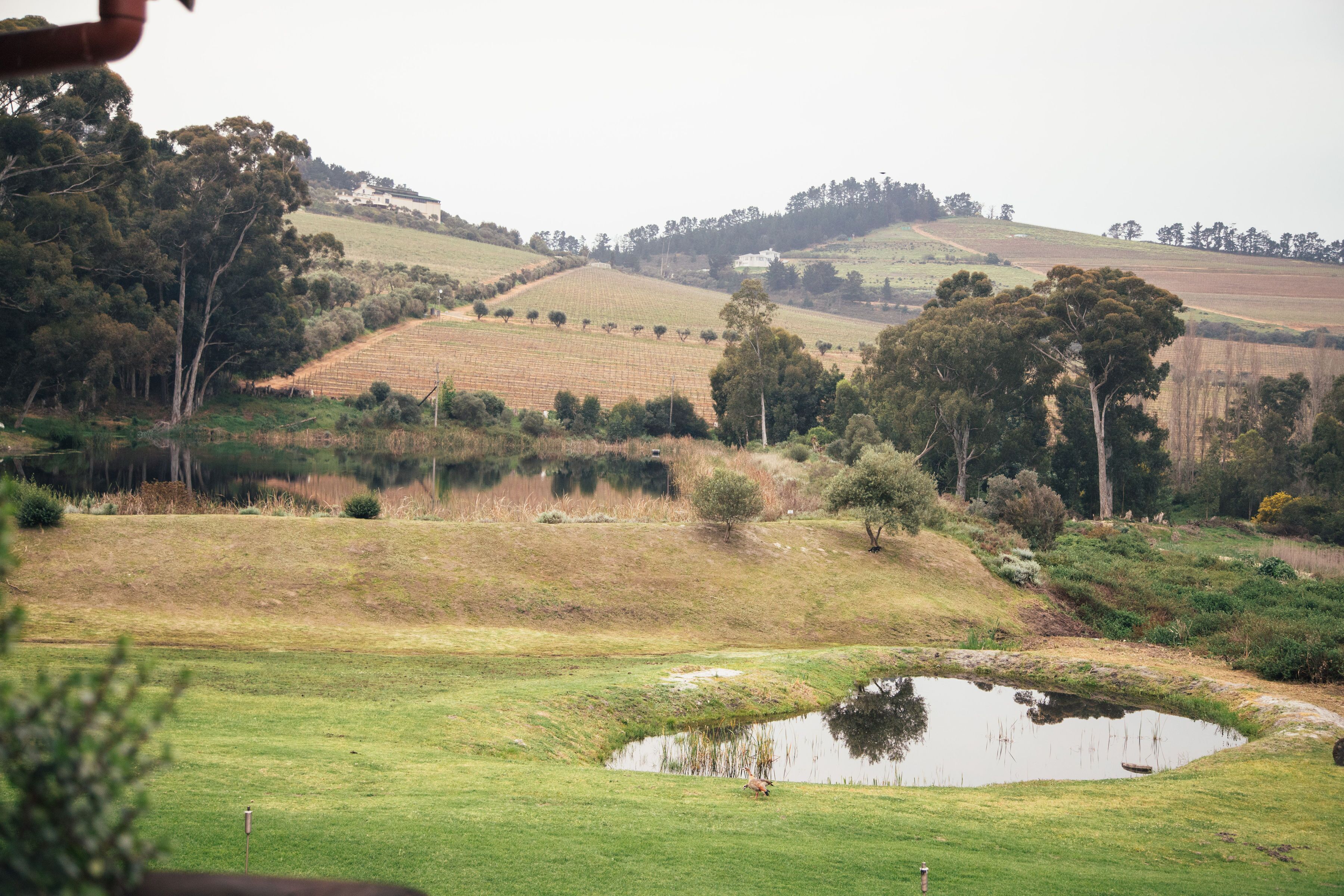 Photo - The Log Collective