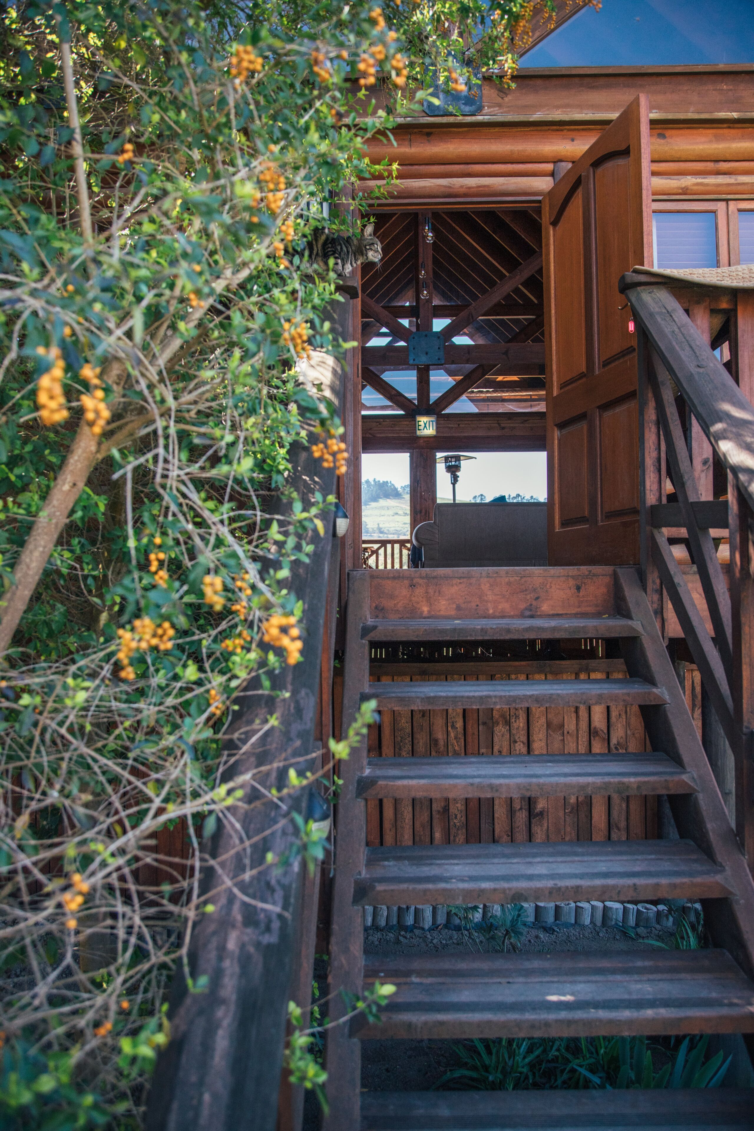 Photo - The Log Collective