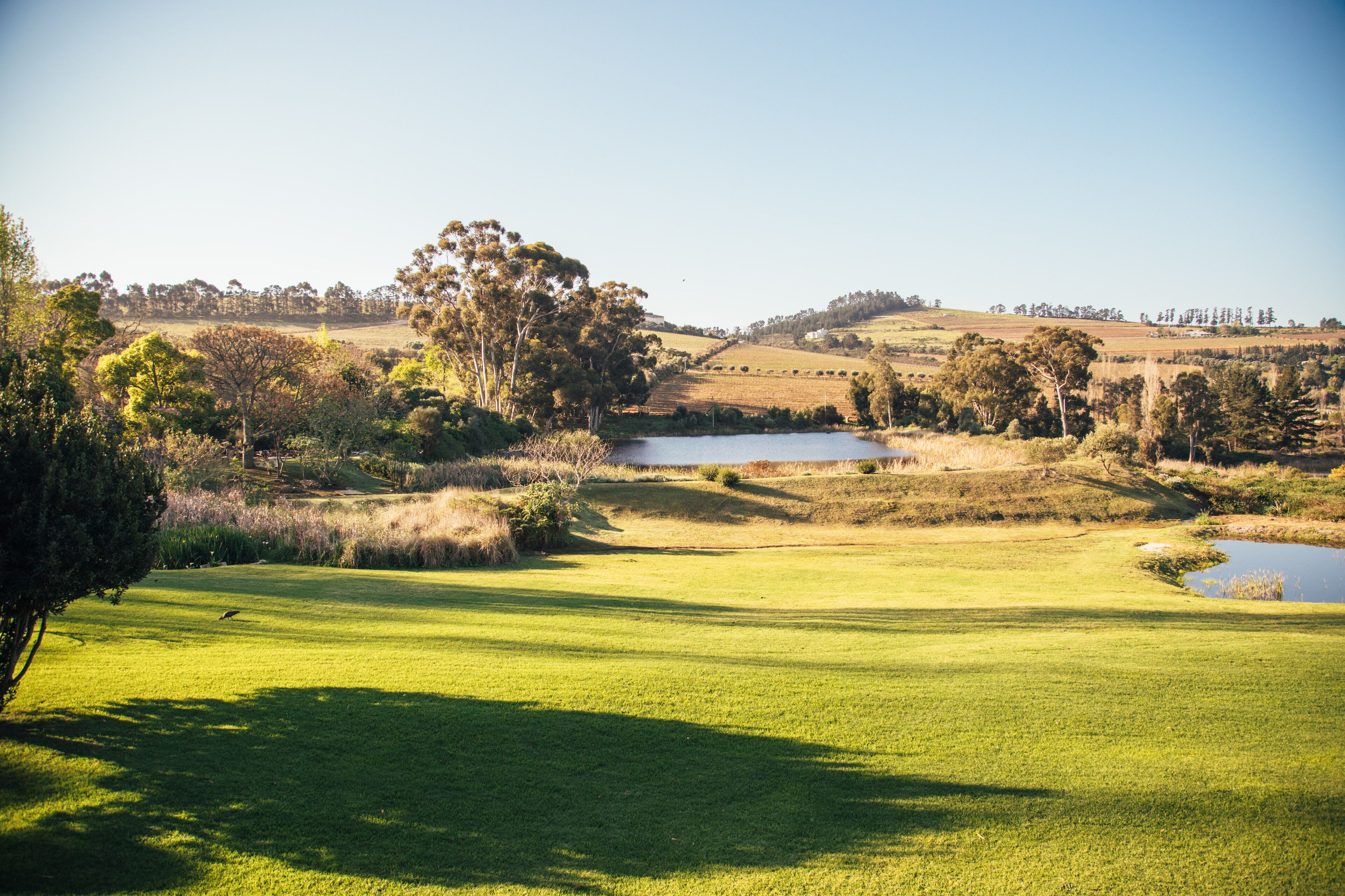 Photo - The Log Collective