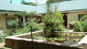 A garden with a pond, surrounded by various plants and a building with a green roof. - High Hopes (Greyton)