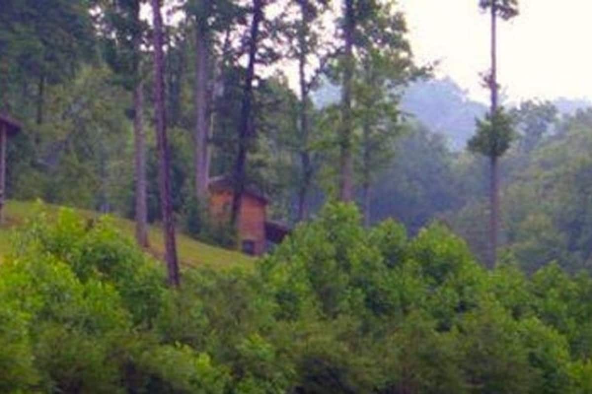 Une cabane dotée d’un porche, entourée d’une forêt dense et de collines.