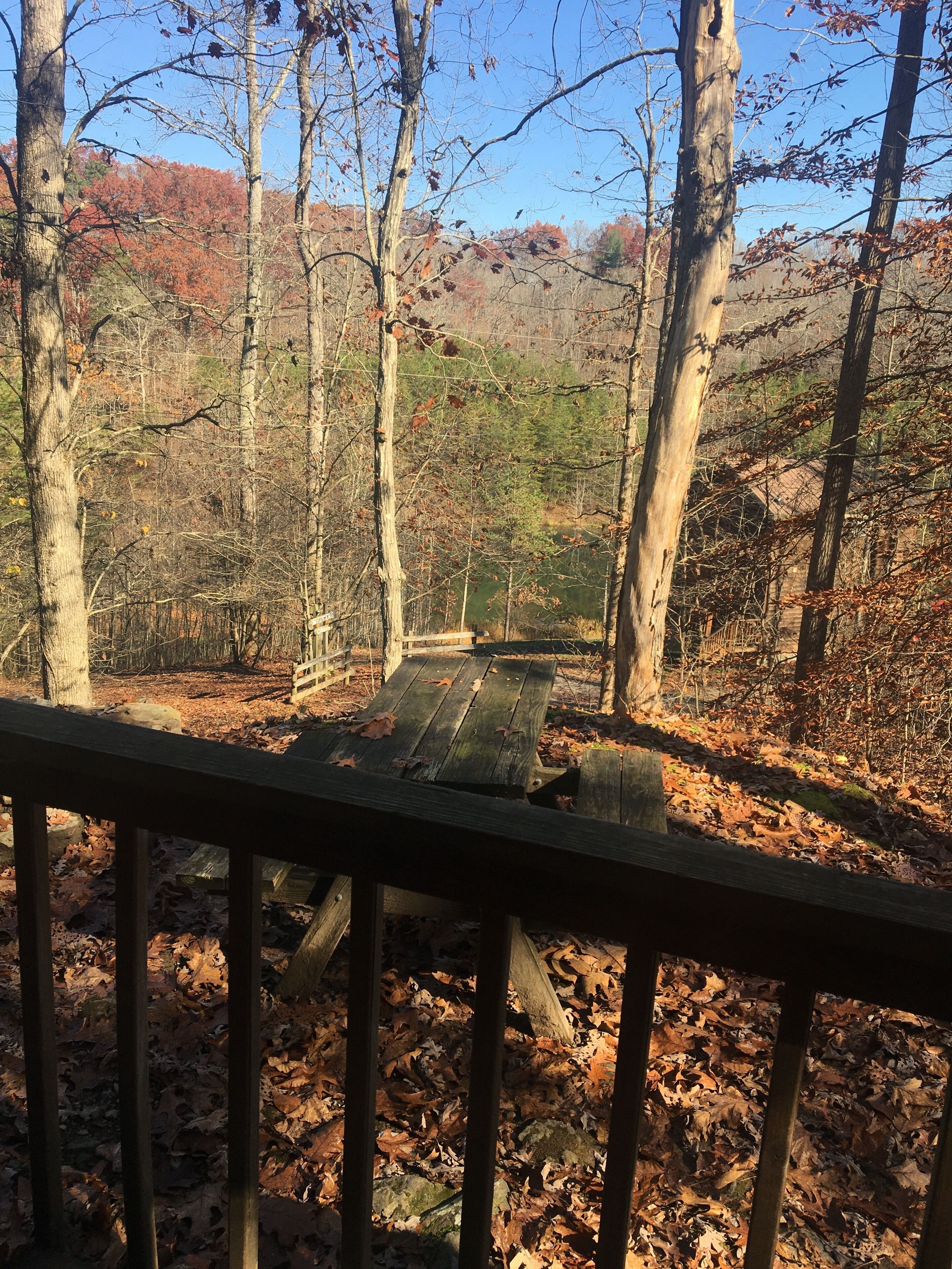 A wooden deck with a bench, surrounded by trees and a forested area.