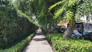 A tree-lined sidewalk with parked cars and a bus. - Eral Apartments Lima (Lima)