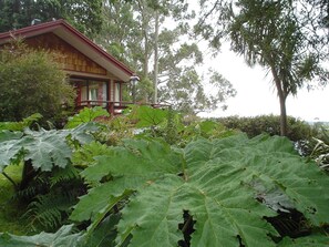 Cabaña Premier, 1 habitación, terraza, junto al lago | Terraza o patio