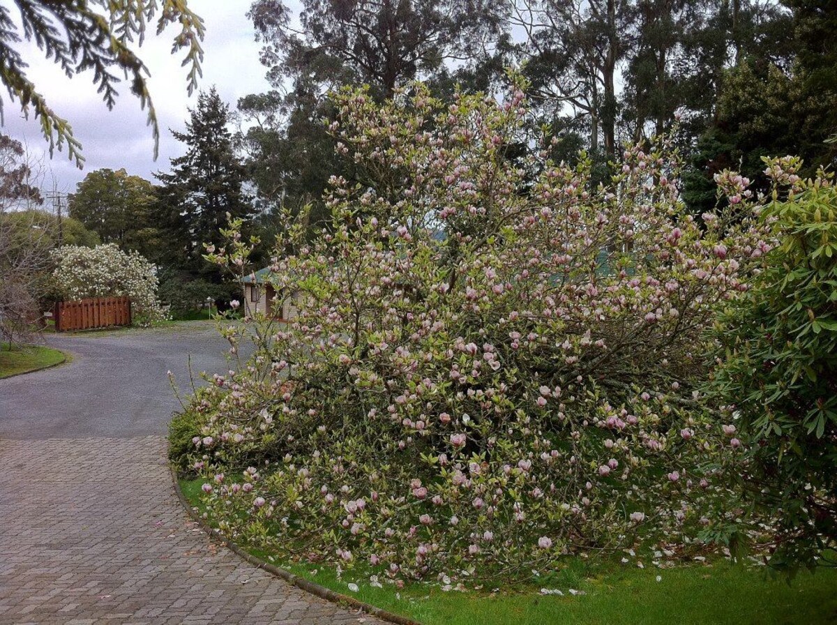 Foto 5
